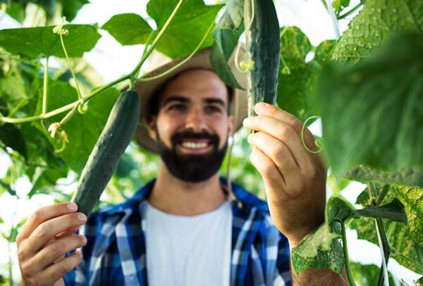 organic4 organic4